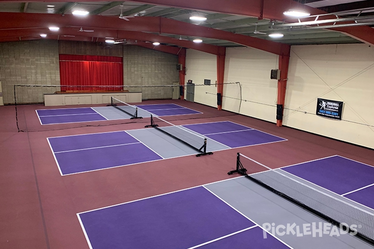 Photo of Pickleball at Pickleball Euphoria